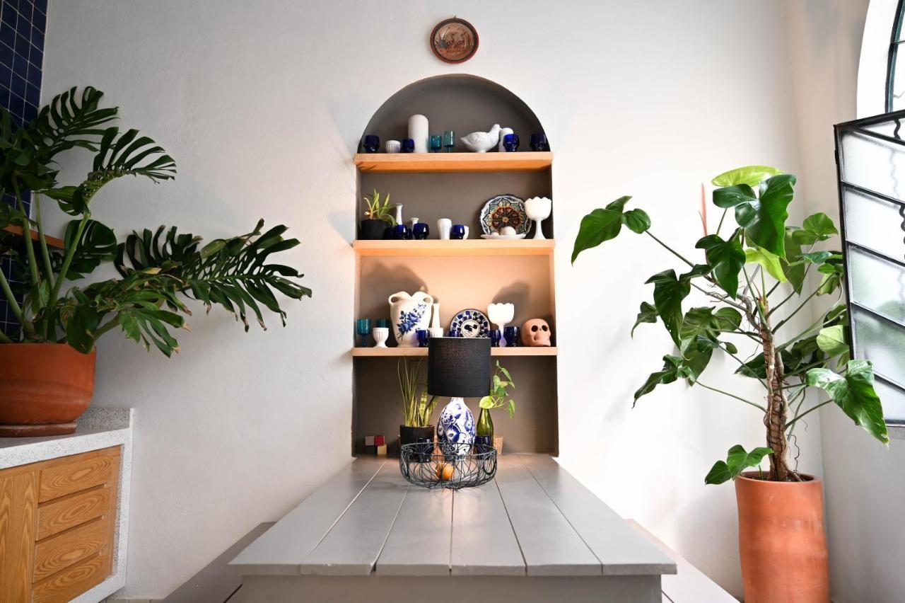 Casa Kali By Barrio Mexico
